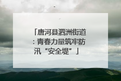 唐河县泗洲街道：青春力量筑牢防汛“安全堤”